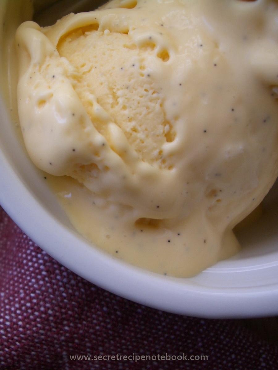 Easy Homemade Vanilla Ice Cream - Diary of A Recipe Collector